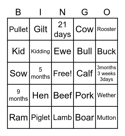 Animal Term Review Bingo Card