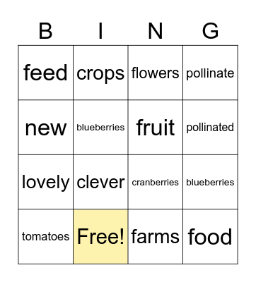 Facts about bumblebees Bingo Card