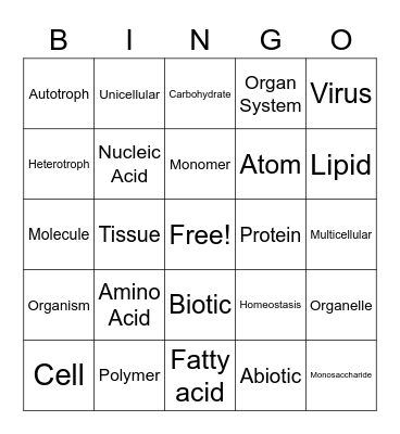 Unit 1 Test Bingo Card