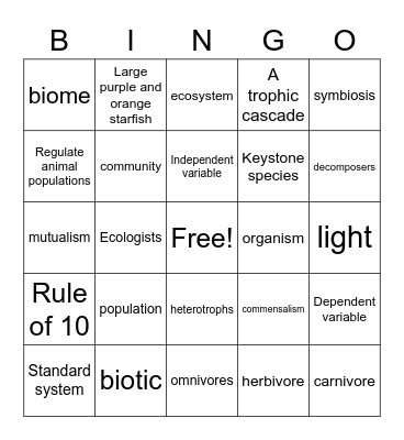 E.S. Quarter 1 Review Bingo Card