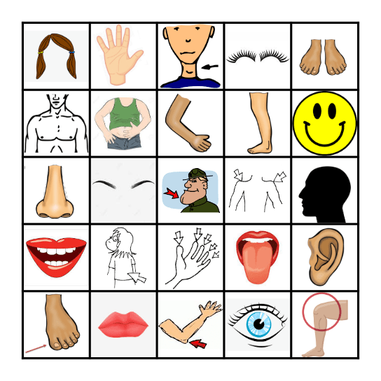 Body Parts Bingo Card