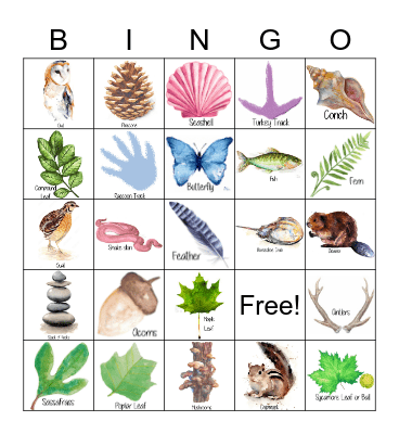 Nature BINGO Card