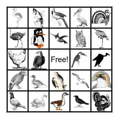 BIRD Bingo Card