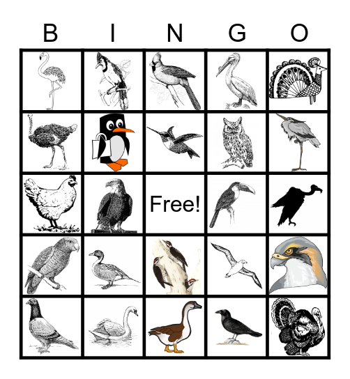 BIRD Bingo Card