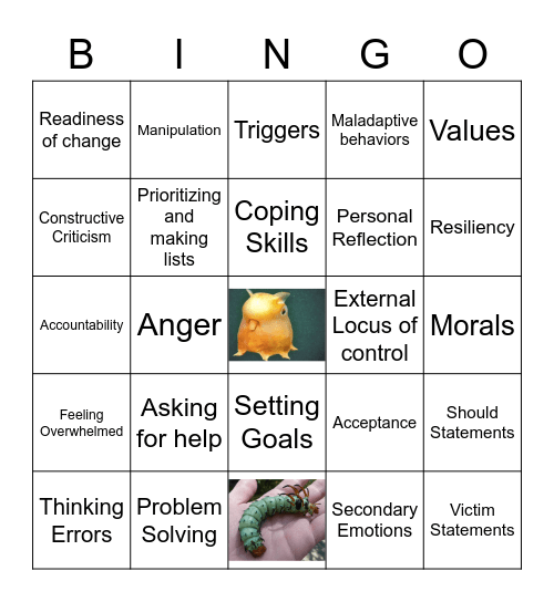 Bingo Review SECTION  1-8 Bingo Card