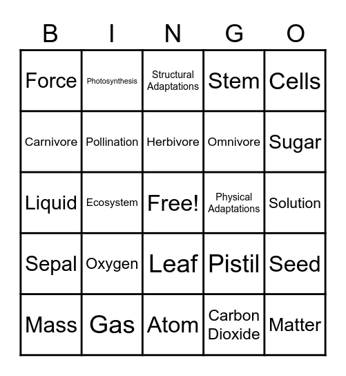 Science Review Bingo Card