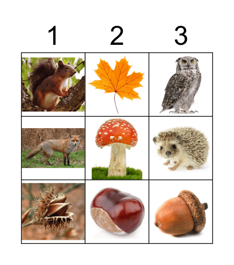 Herfst Bingo Card