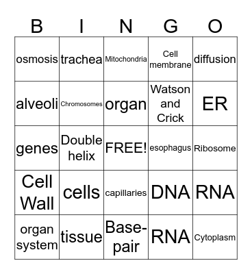 Cells & DNA Bingo Card