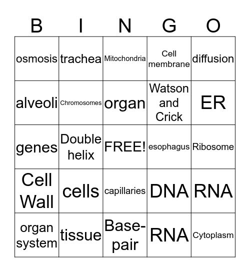 Cells & DNA Bingo Card