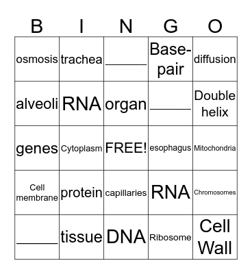 Cells & DNA Bingo Card