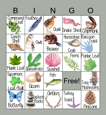 Nature BINGO Card