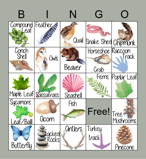 Nature BINGO Card
