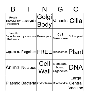 Cells Bingo Card