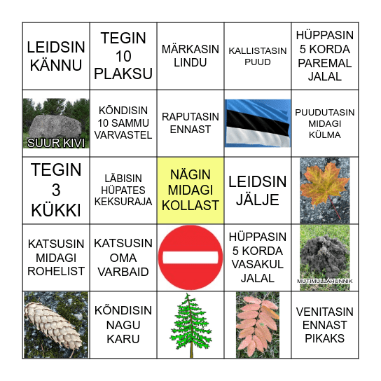 LIIGU, MÄRKA, LEIA! Bingo Card