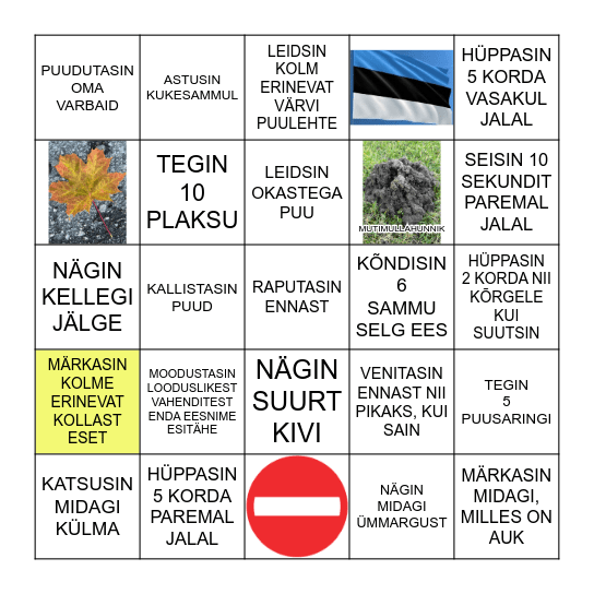 LIIGU, MÄRKA JA LEIA! Bingo Card