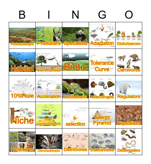 Ecologic Principles Bingo Card