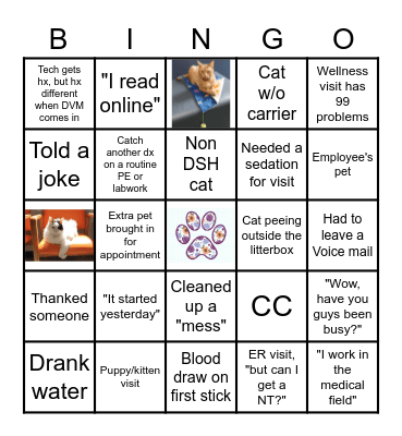 Fountain City Vet Bingo 2022 Bingo Card
