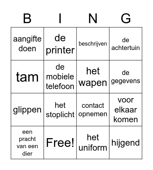 Groep 4 - blok 2, hoofdstuk 3 les 1 Bingo Card