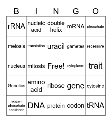 Central Dogma Bingo Card