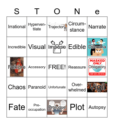 Swallowing Stones Vocabulary Bingo Card