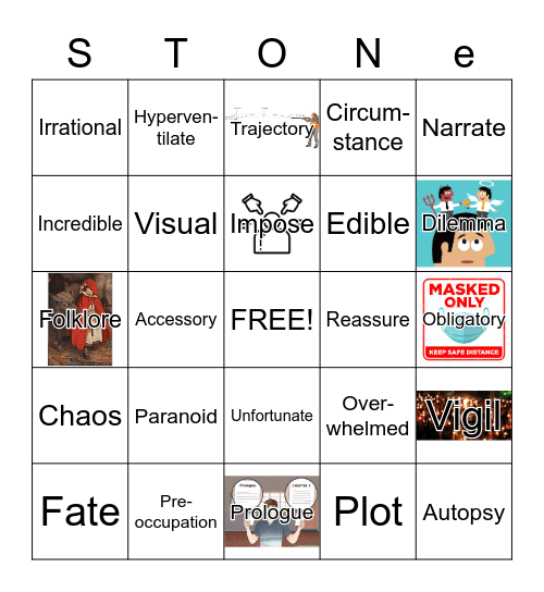 Swallowing Stones Vocabulary Bingo Card