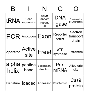 Unit 3/4 Biology 2 Bingo Card
