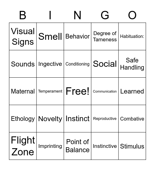 Animal Behavior Bingo Card