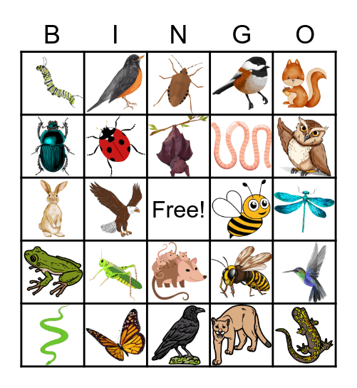 Animal Bingo Card
