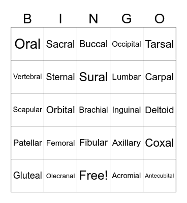 Anatomy Body Regions Bingo Card
