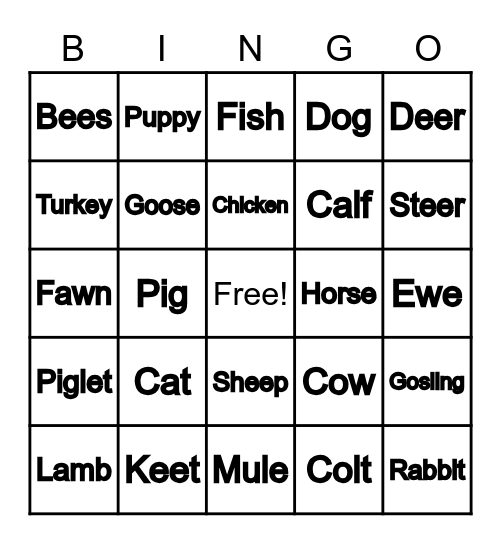 Barnyard Bingo Card
