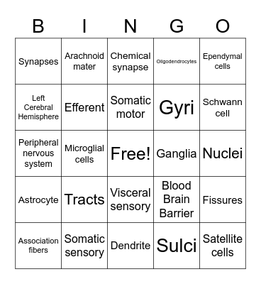 In-Class Activity #3      Name:_________ Bingo Card