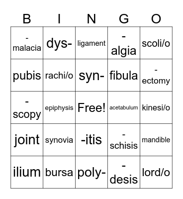 Skeletal System Bingo Card