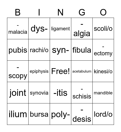 Skeletal System Bingo Card