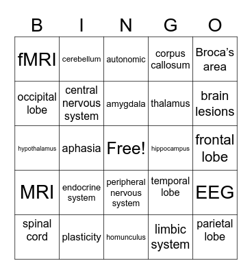 Brain Review Bingo Card