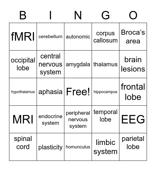 Brain Review Bingo Card