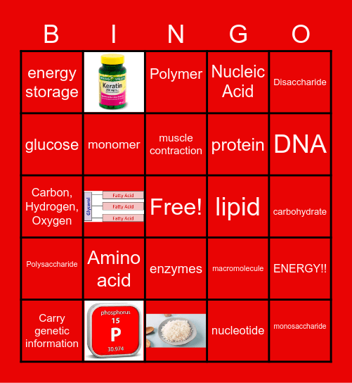Biomolecule bingo Card