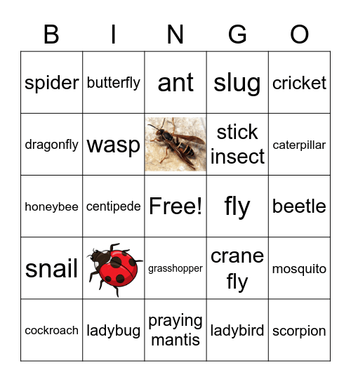 MINIBEASTS Bingo Card