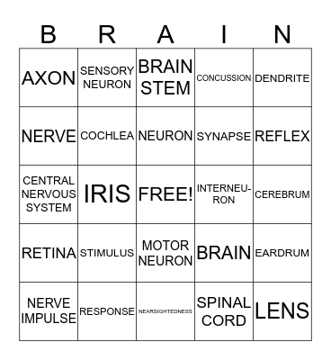 Nervous System Bingo Card
