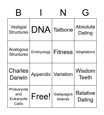 Evolution Bingo Card