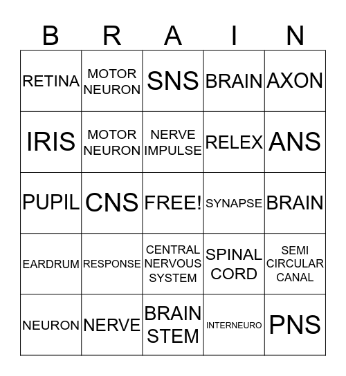 NERVOUS SYSTEM Bingo Card