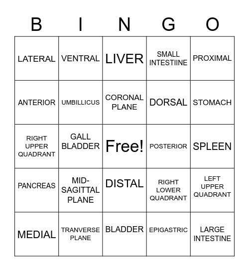 ANATOMICAL TERMS / DIRECTIONS Bingo Card