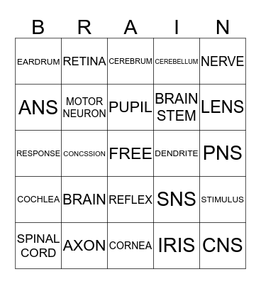 NERVOUS SYSTEM Bingo Card