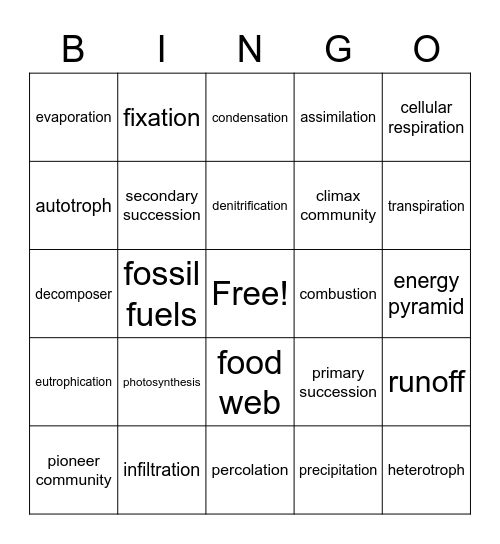 EVS Review Unit 3 Bingo Card