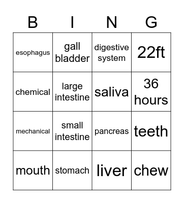 Digestive system Bingo Card