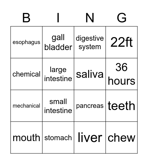 Digestive system Bingo Card