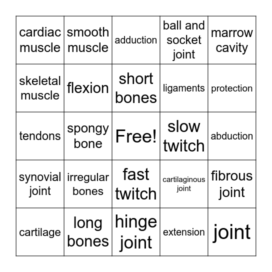Skeletal, Muscular and Articular System Bingo Card