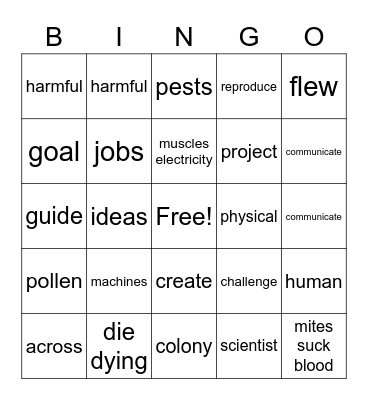 Robobees Bingo Card