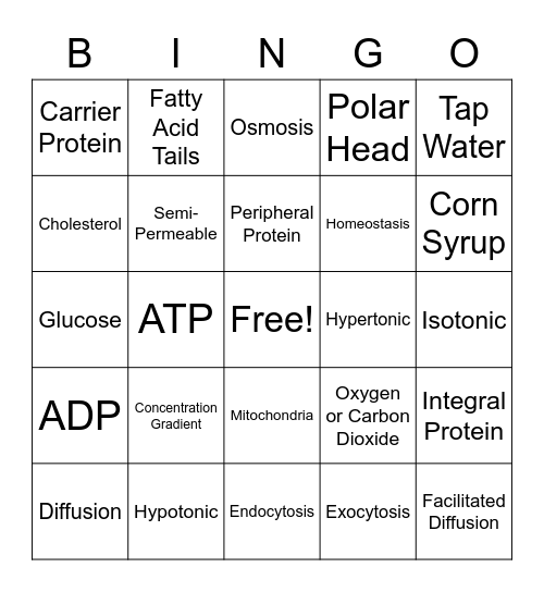 Cell Transport Bingo Card