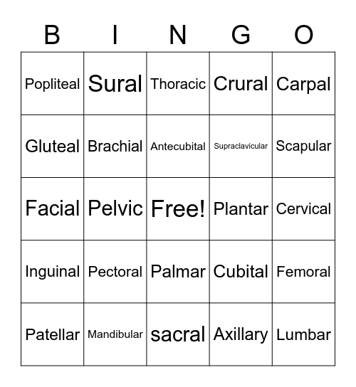 Anatomical Regions Bingo Card