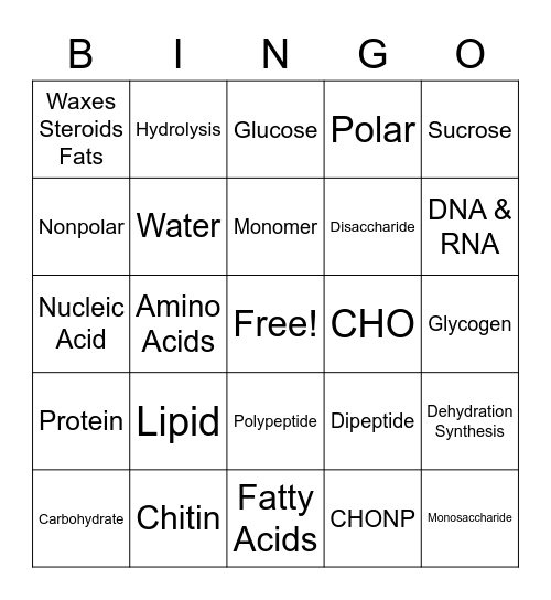 Macromolecules Bingo Card